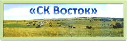 СК Восток