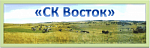 СК Восток